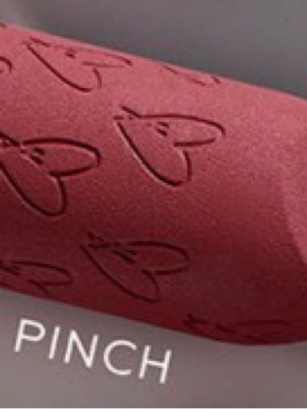 Westman Atelier Hydrating Matte Lipstick {Pinch}Magnetic Case Closure Discounted